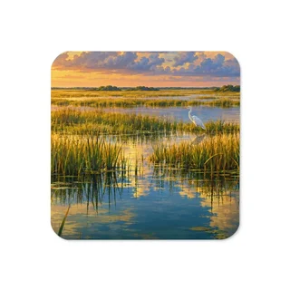 Everglades travel artwork on a coaster
